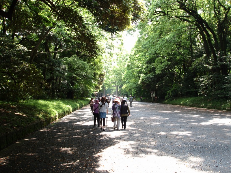 f0224100_4544027.jpg