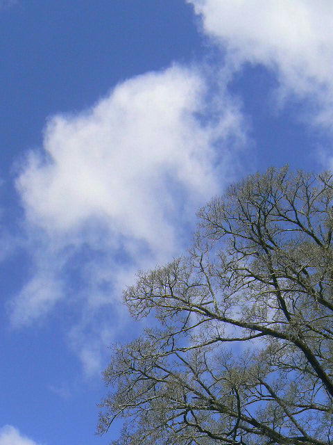 f0164503_18193149.jpg
