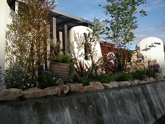 c0190010_20554119.jpg