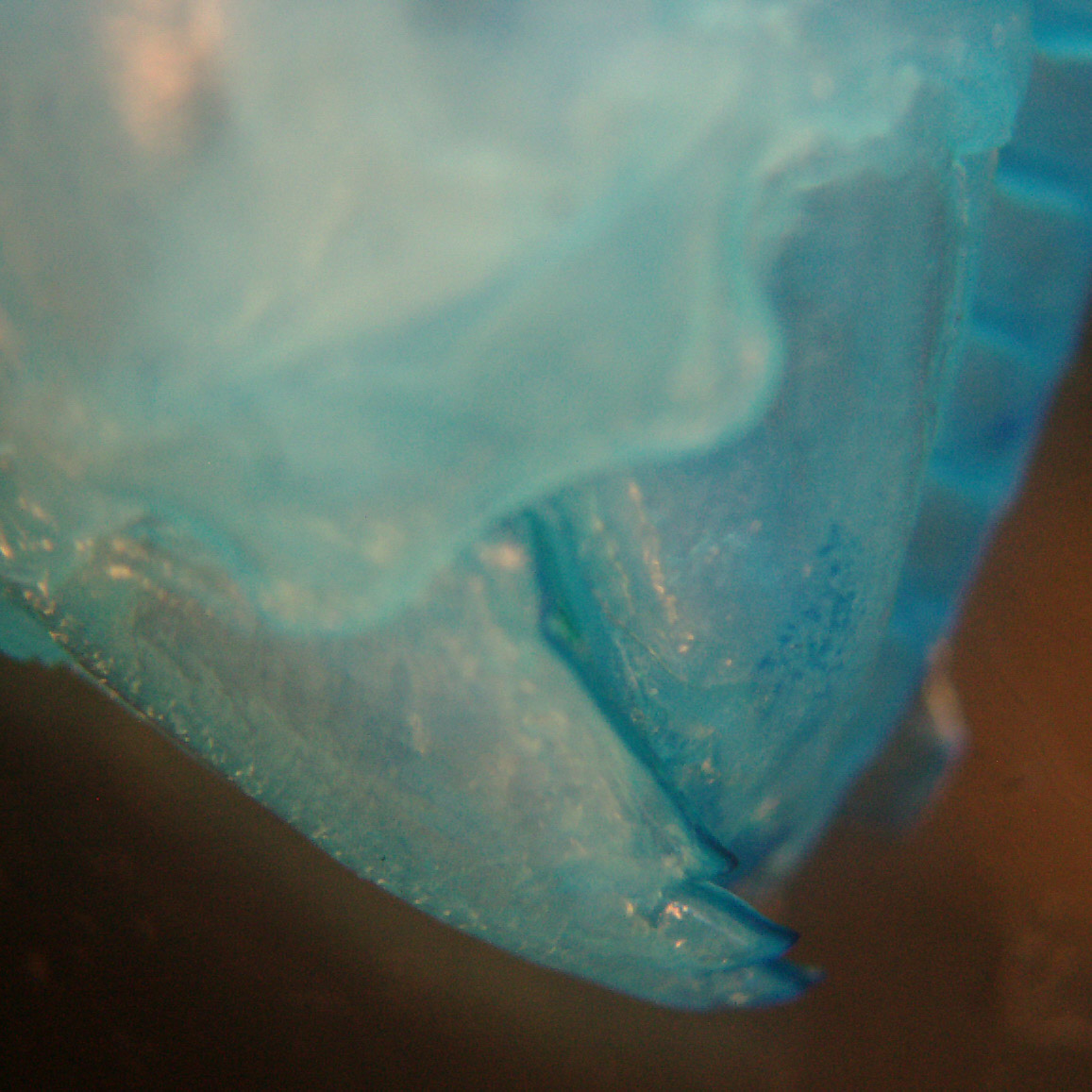 e0142611_15193123.jpg