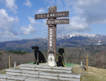 f0108112_21104620.jpg