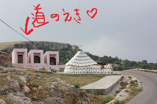 c0209213_649643.jpg