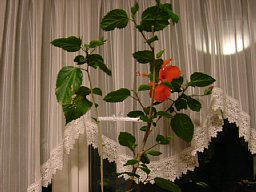 f0153115_23204897.jpg