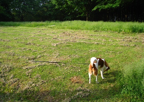 c0084117_2142176.jpg