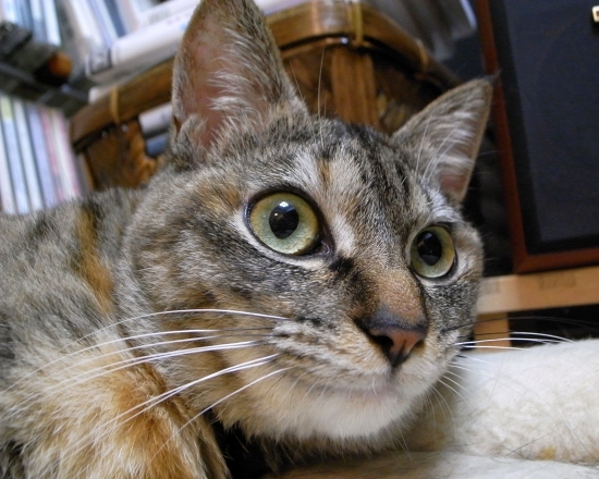 c0136217_13394141.jpg