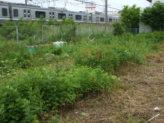 b0096418_8502730.jpg
