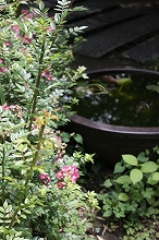 e0123718_15273855.jpg