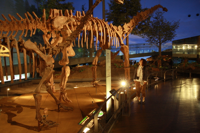 b0116222_1204610.jpg
