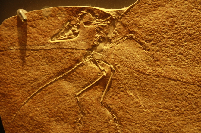 b0116222_122528.jpg