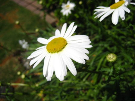 b0168823_1610236.jpg