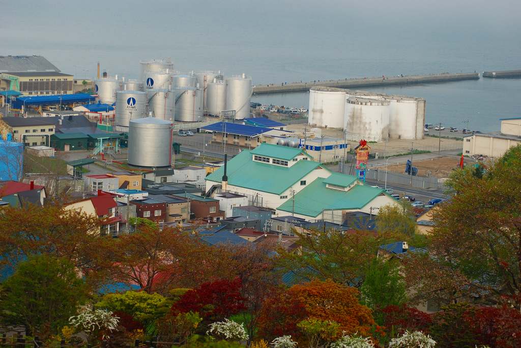 d0109428_917859.jpg