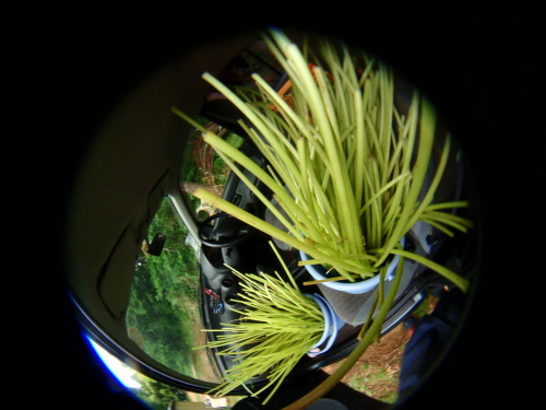 c0034029_235747.jpg
