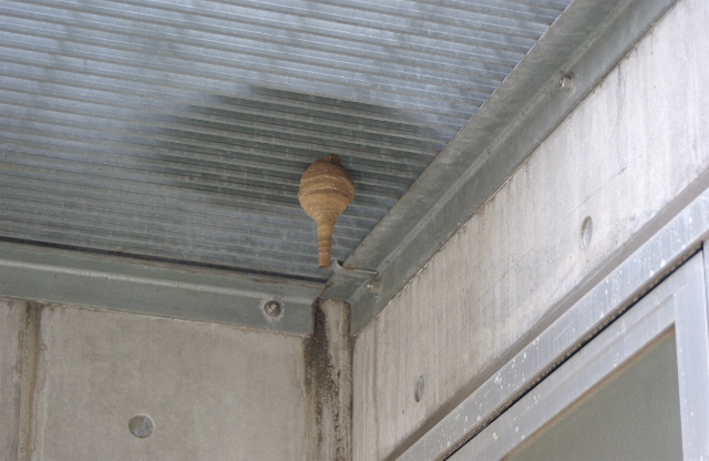 f0023329_15155054.jpg