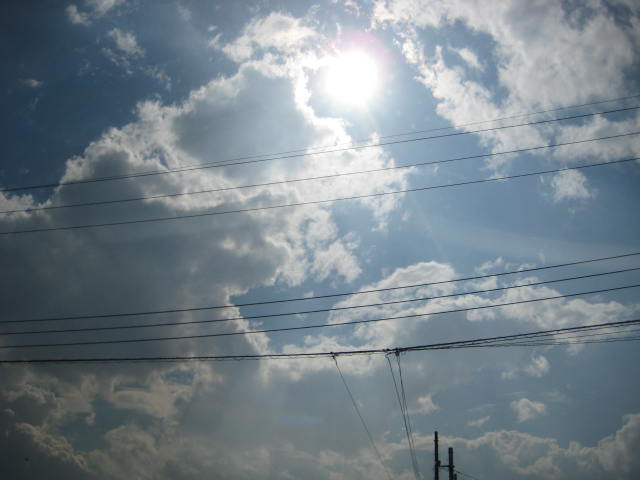 e0166032_20562419.jpg