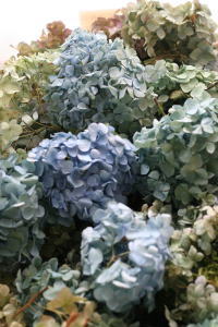 f0200036_21345810.jpg