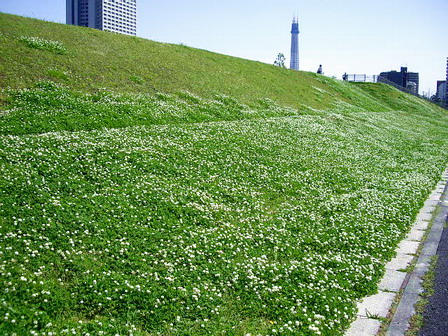 a0122637_21124679.jpg
