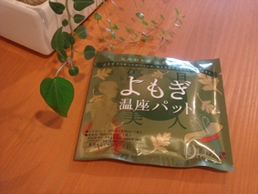 d0063438_1722970.jpg