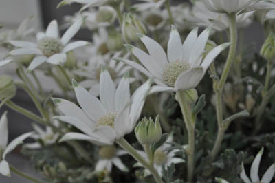 f0204440_22363213.jpg
