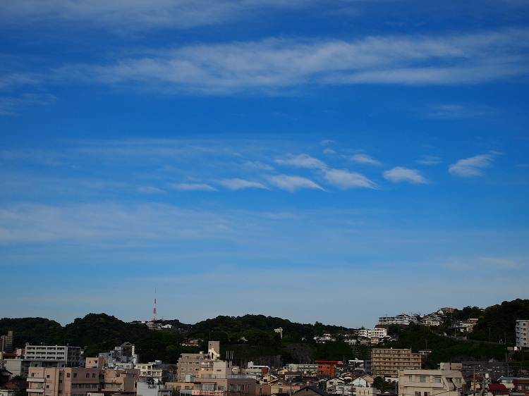 a0146442_731238.jpg