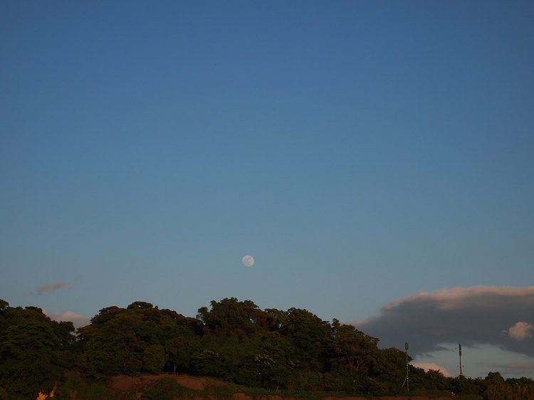 a0146442_7341020.jpg