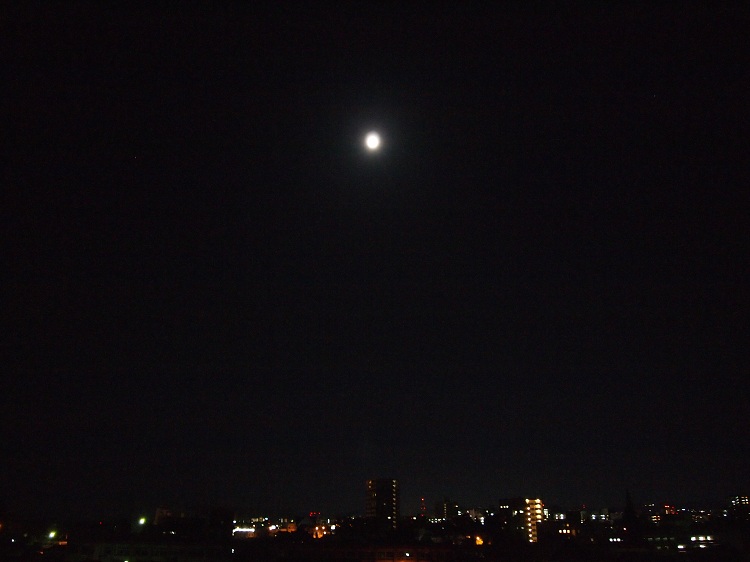 a0146442_7342532.jpg