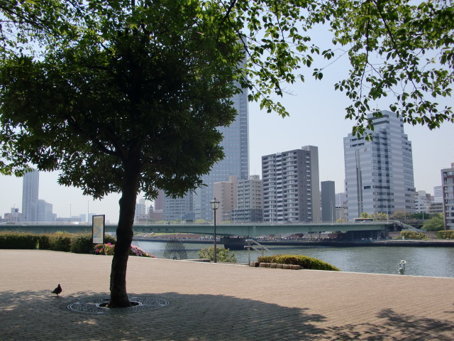 b0174844_19254670.jpg