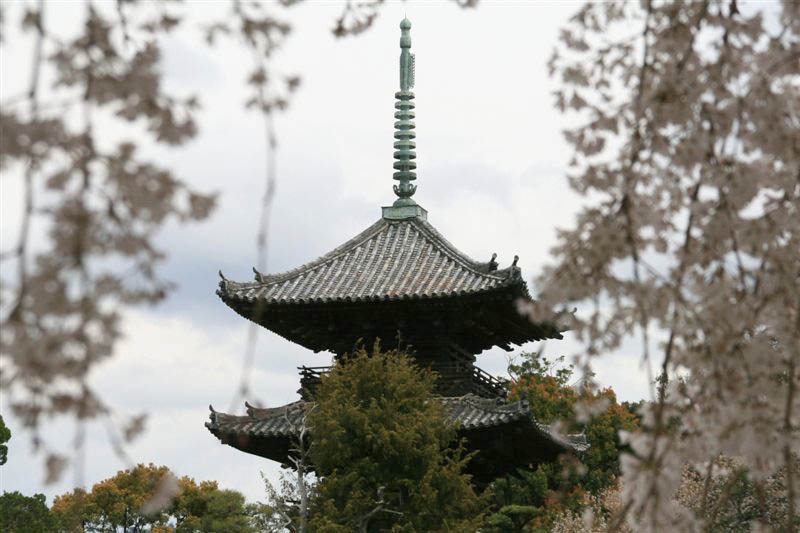 c0179844_15342451.jpg