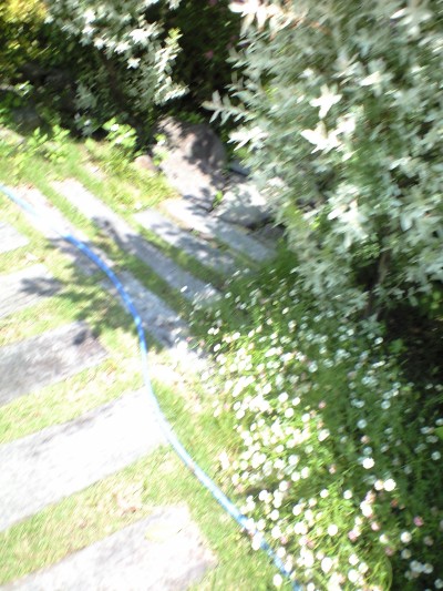 e0163044_15324982.jpg