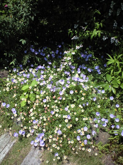 e0163044_1533152.jpg
