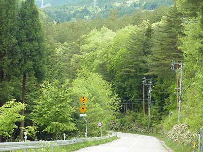 c0220047_951865.jpg