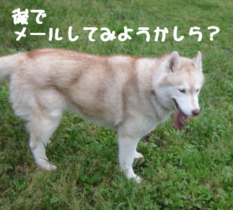 e0121548_2236815.jpg