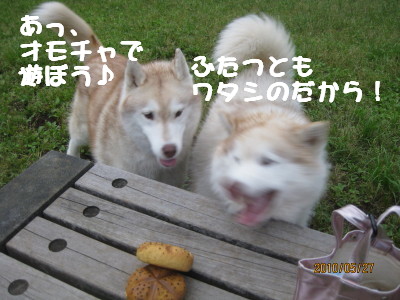 e0121548_22392358.jpg