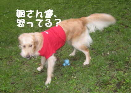 e0121548_22581663.jpg