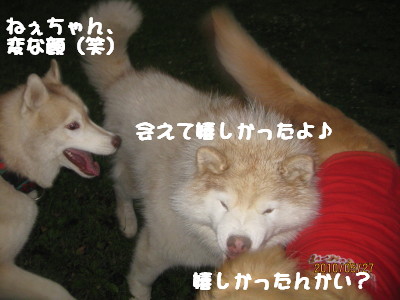 e0121548_2382154.jpg
