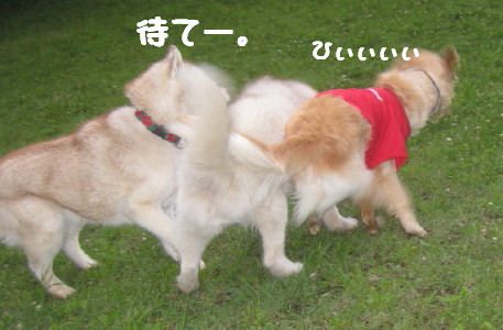 e0121548_238487.jpg