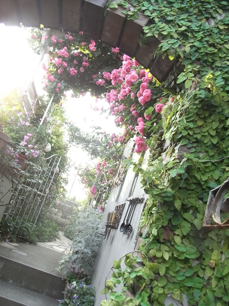 a0169150_054190.jpg