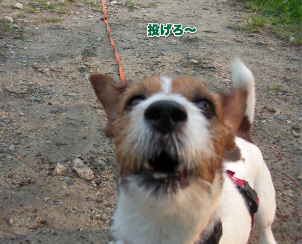 f0077150_2054187.jpg
