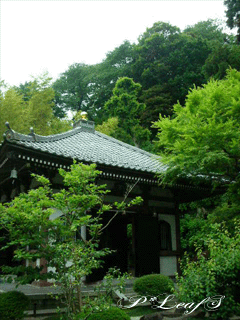 c0176651_21481385.gif