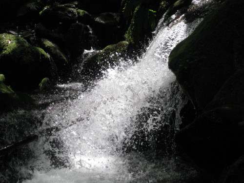 c0179351_15164513.jpg