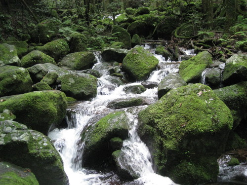 c0179351_15211689.jpg