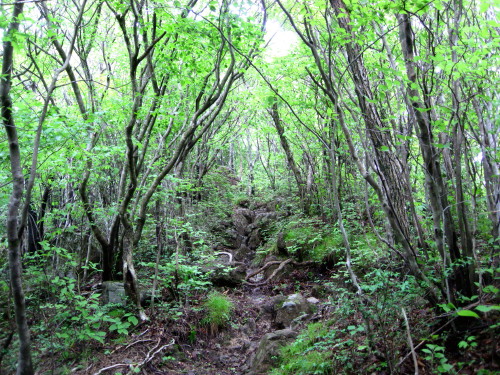 c0179351_15272236.jpg