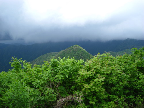 c0179351_15282950.jpg