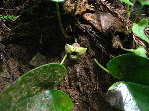 c0179351_15302442.jpg