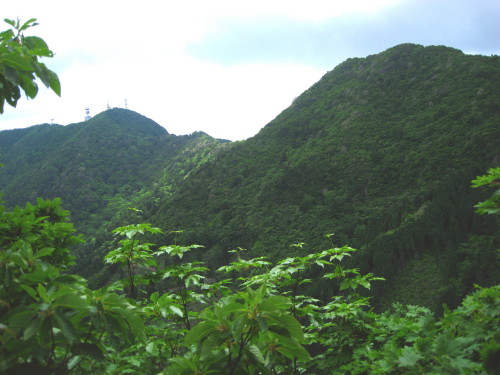 c0179351_15313576.jpg