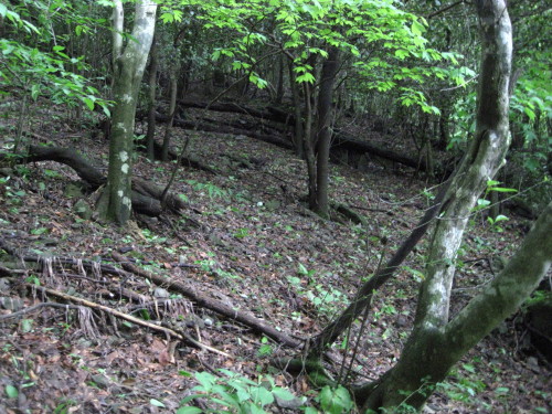 c0179351_1533986.jpg