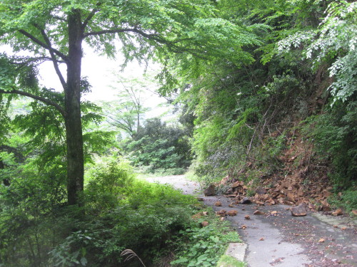 c0179351_15355022.jpg
