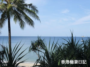 f0190653_1432228.jpg