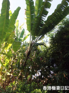 f0190653_14525577.jpg