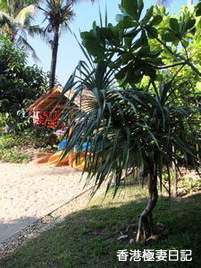 f0190653_14533865.jpg