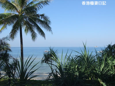 f0190653_14542391.jpg